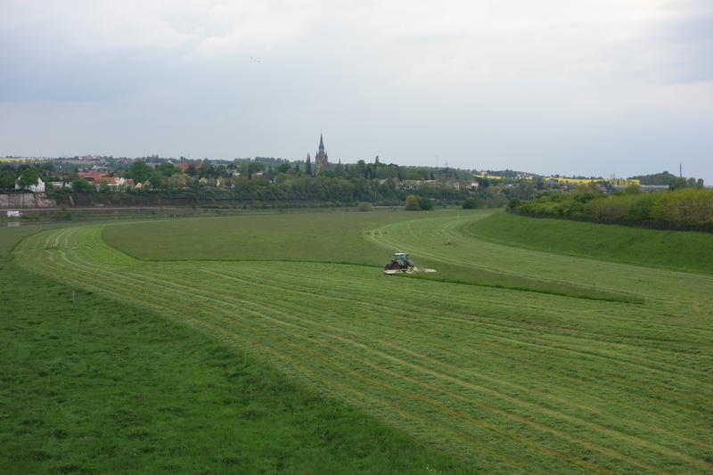 bilder/2023_10_04/DSC06419.jpg