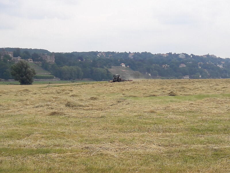 bilder/11_8_2013/CIMG8990.jpg