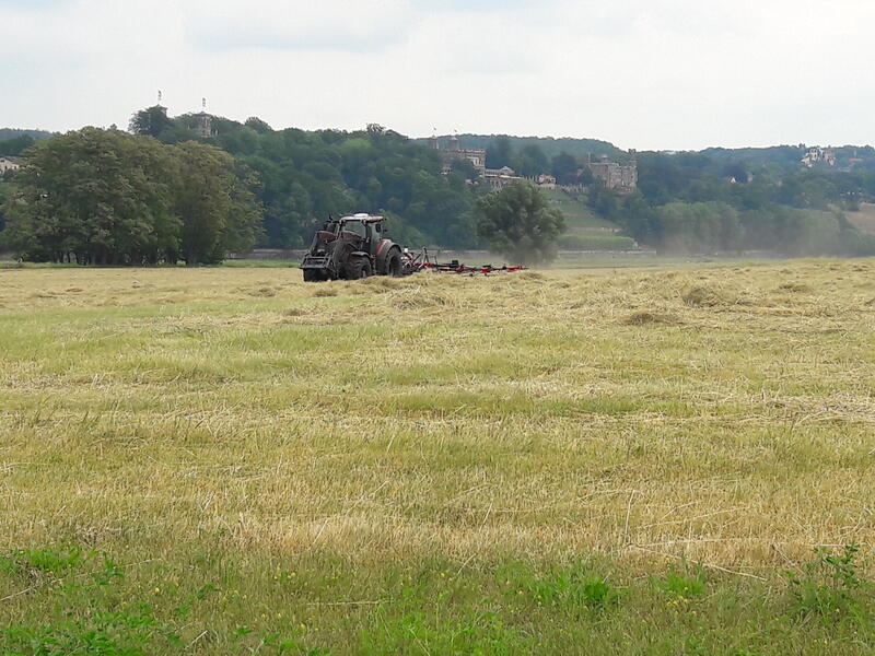 bilder/6_6_2011/CIMG2361.jpg