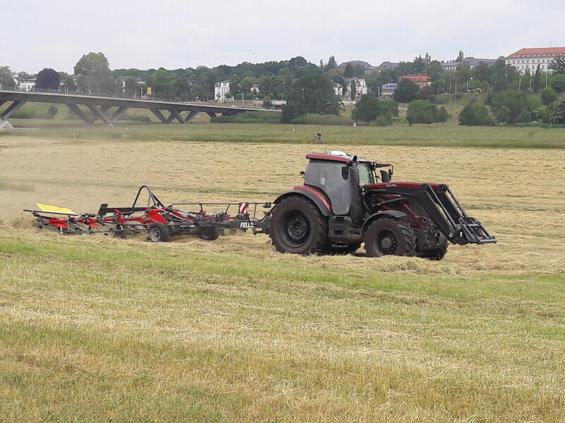 bilder/5_10_2014_2/CIMG8220.jpg