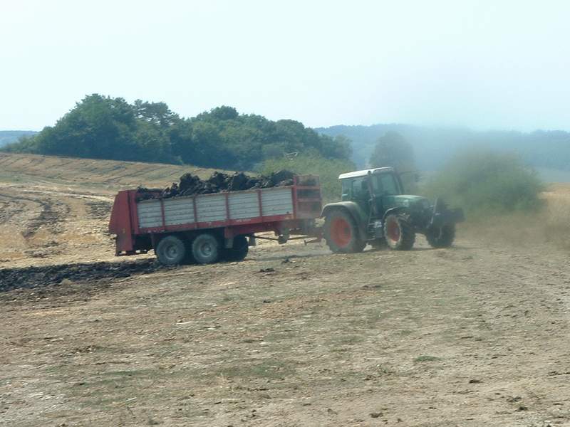 bilder/12_8_2003/fendt.jpg