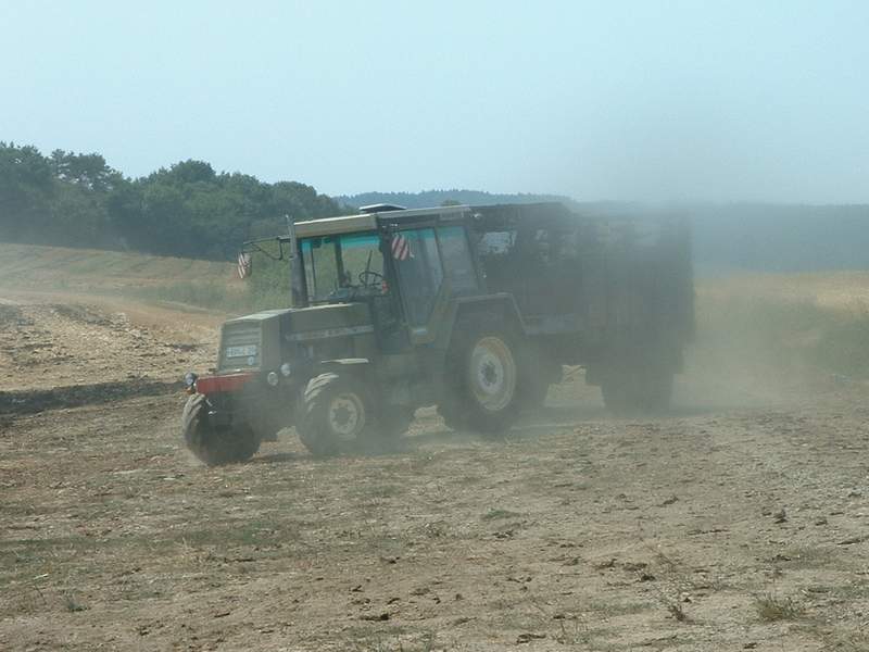 bilder/12_8_2003/zt_323_2.jpg