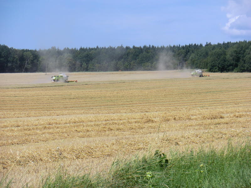 bilder/30_7_1999/mega.jpg