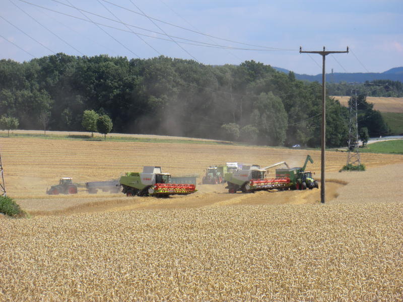 CIMG0187.jpg