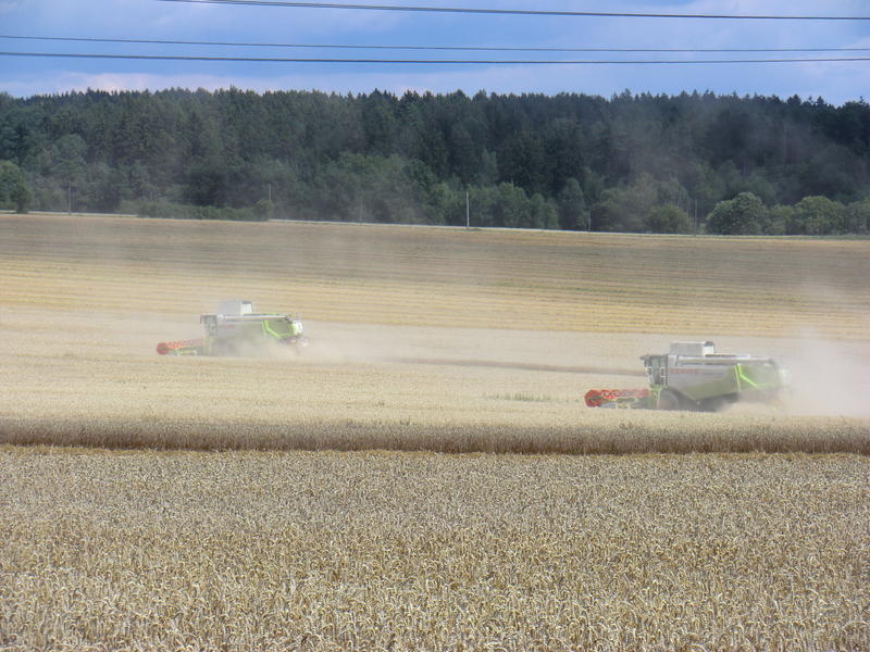 bilder/12_8_2012/CIMG0190.jpg