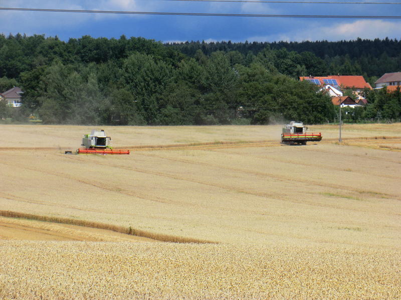 bilder/12_8_2012/CIMG0195.jpg