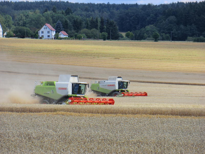 bilder/12_8_2012/CIMG0198.jpg