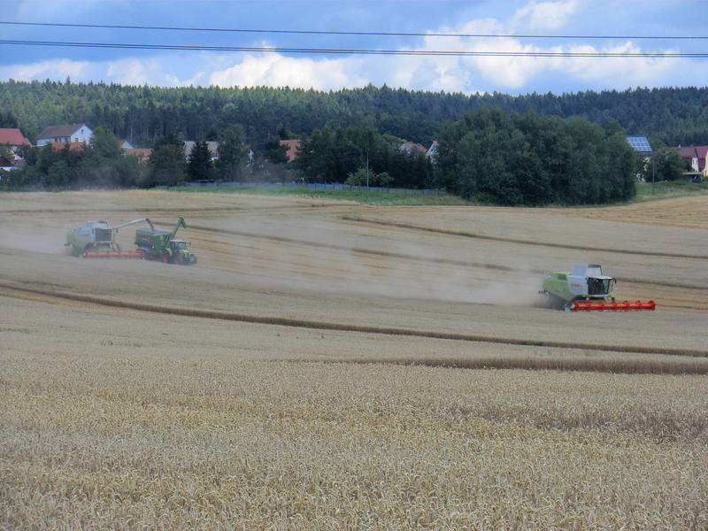 bilder/12_8_2012/CIMG0202.jpg