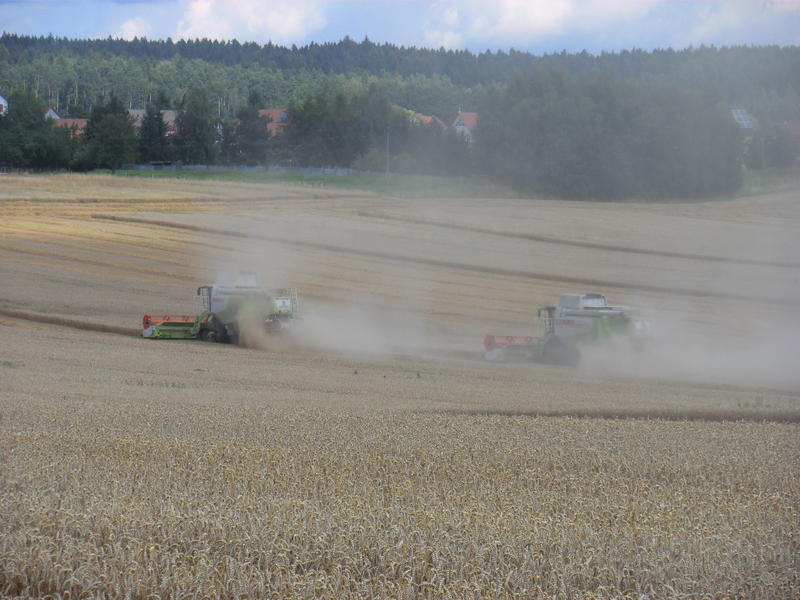 bilder/12_8_2012/CIMG0206.jpg