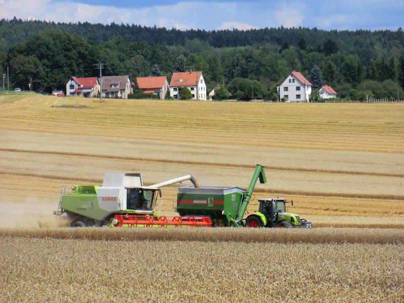 bilder/12_8_2012/CIMG0209.jpg