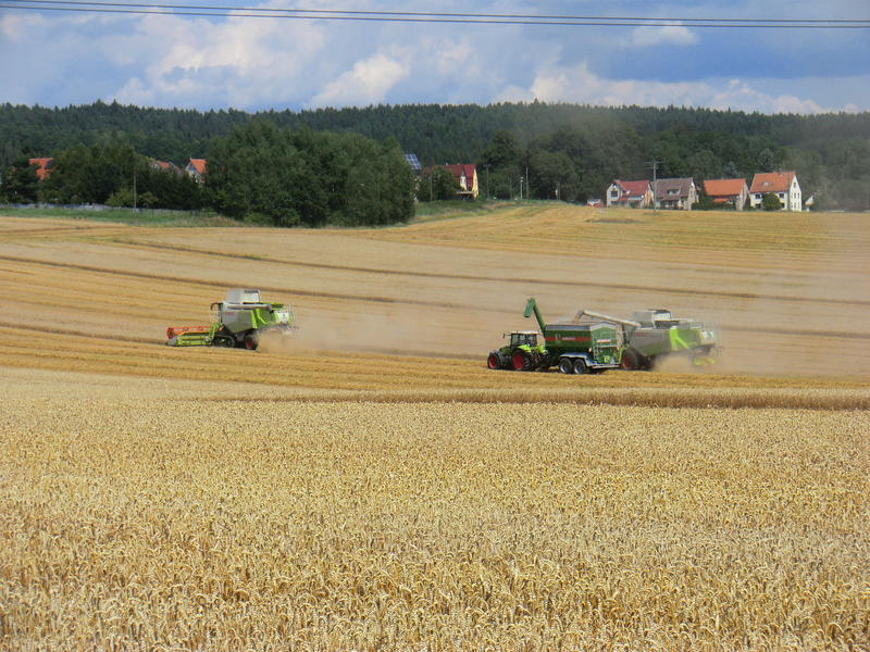 bilder/12_8_2012/CIMG0213.jpg