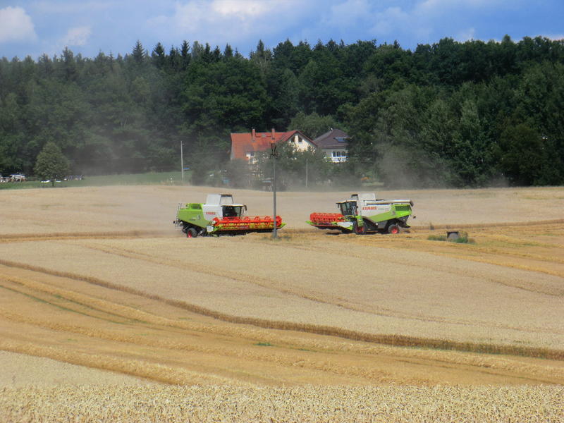 bilder/22_8_2002/lexion_23.jpg