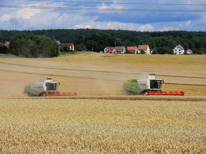 bilder/12_8_2012/CIMG0220.jpg