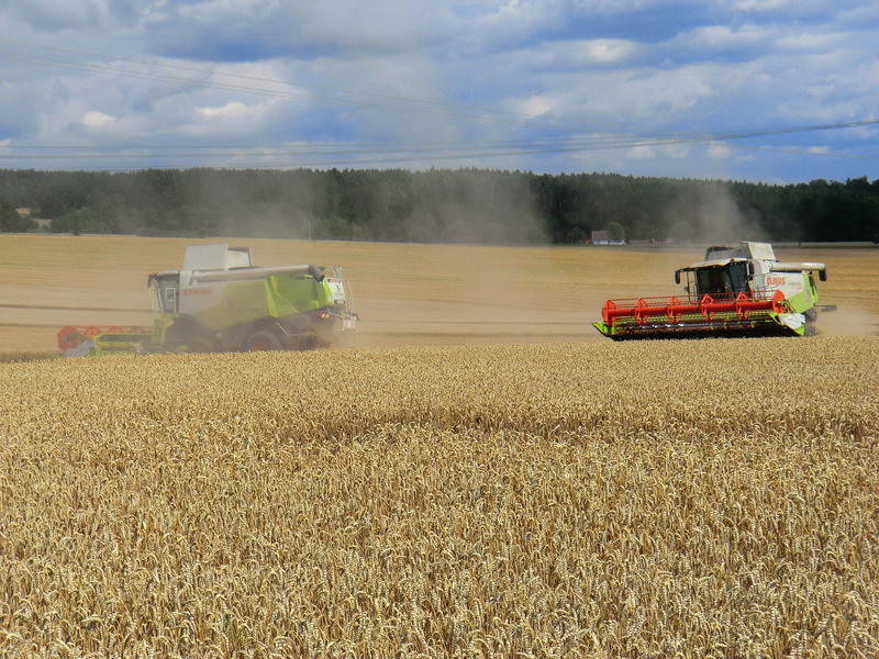 bilder/30_7_2004/lexion_3.jpg