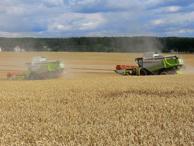bilder/12_8_2012/CIMG0225.jpg