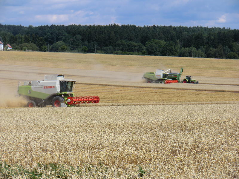 bilder/12_8_2012/CIMG0230.jpg