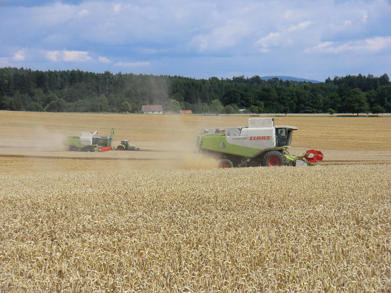 bilder/29_5_2012/CIMG8646.jpg