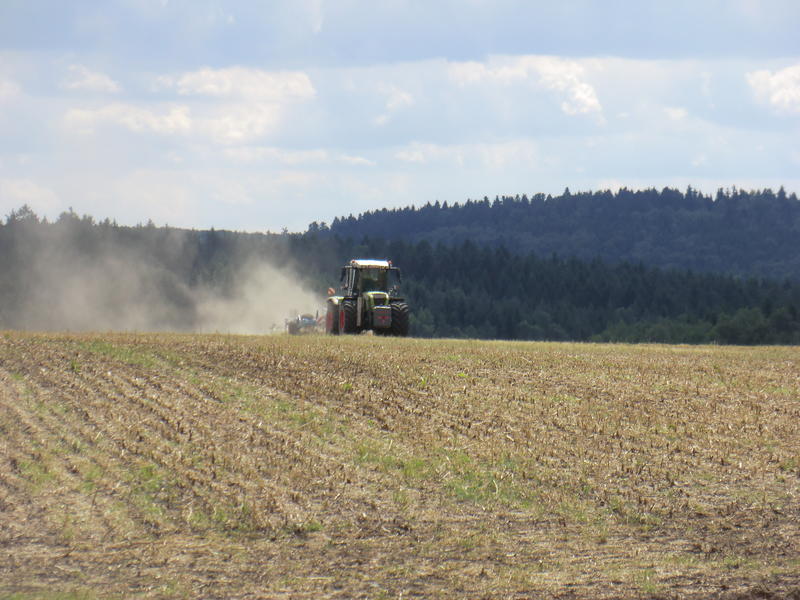 bilder/12_8_2013/CIMG9092.jpg