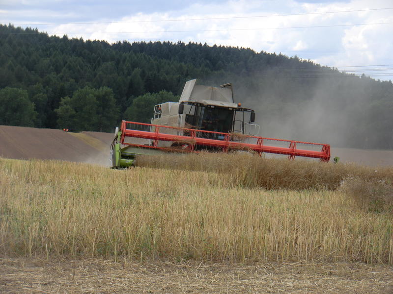 bilder/12_8_2013_2/CIMG9164.jpg