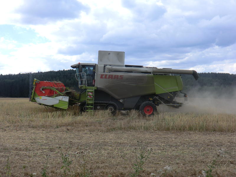 bilder/8_6_2004/jaguar_fendt_3.jpg
