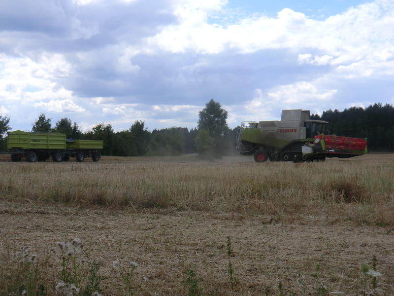 bilder/12_8_2013_2/CIMG9168.jpg