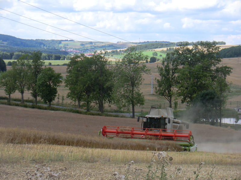 CIMG9175.jpg