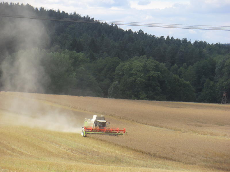 bilder/21_3_2003/fendt_824_6.jpg