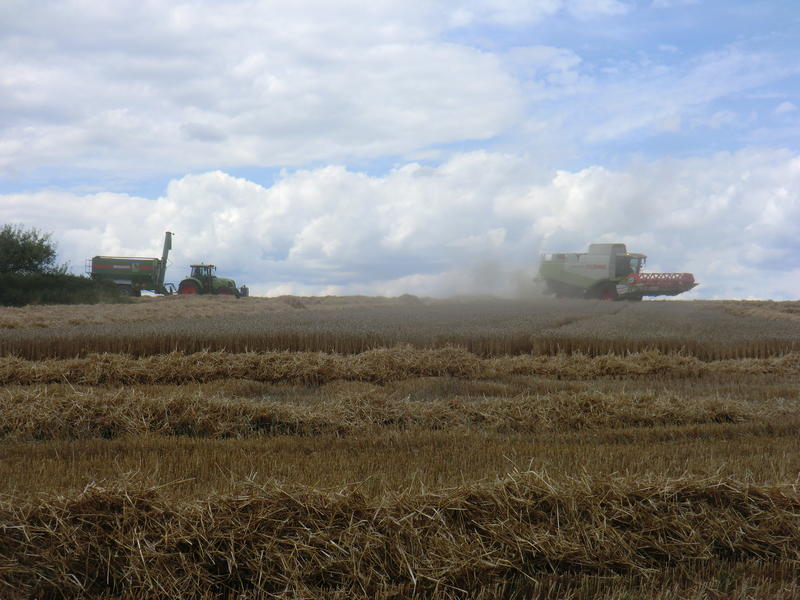CIMG9138.jpg