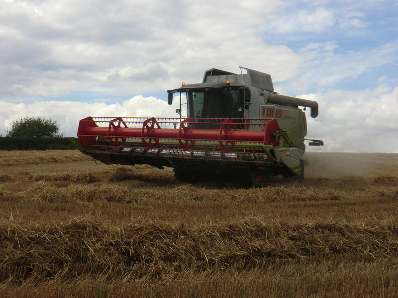 bilder/10_8_1996/2x_mega_+_2x_fendt_+_zt_303.jpg