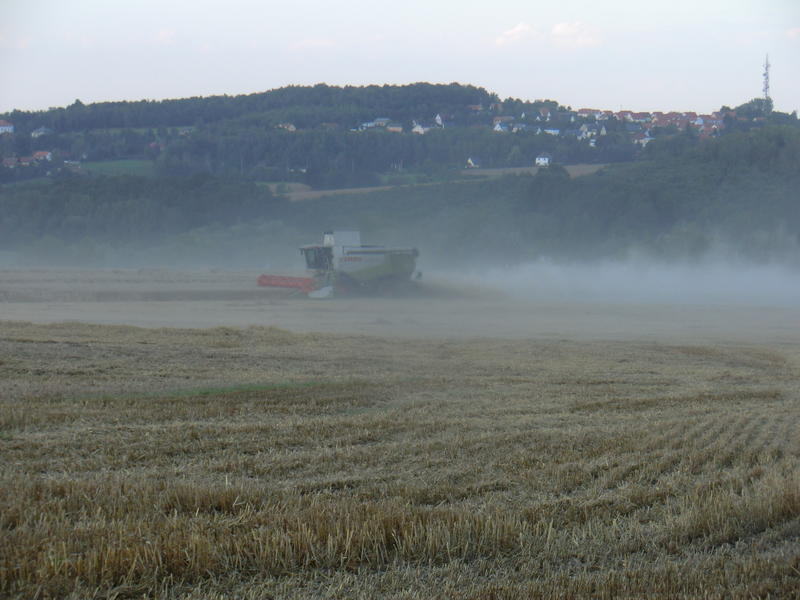 bilder/12_8_2014/CIMG7602.jpg