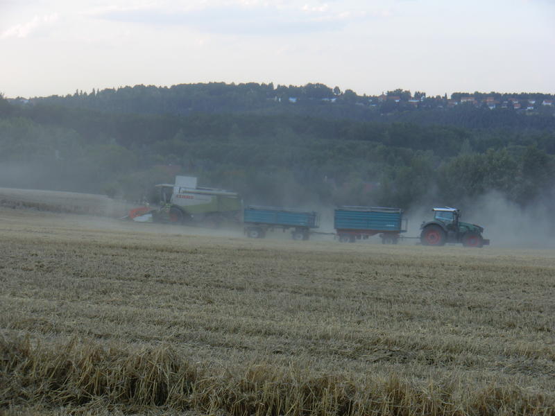 bilder/12_8_2014/CIMG7605.jpg
