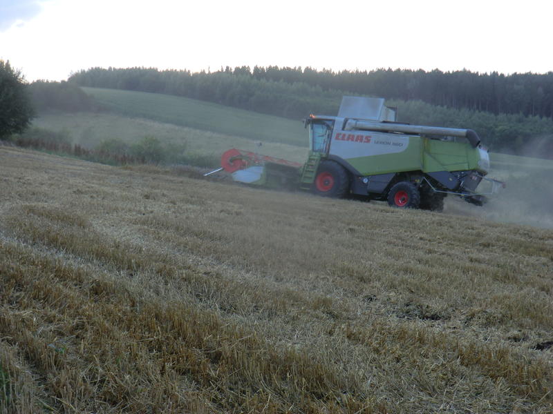 bilder/12_8_2014/CIMG7613.jpg