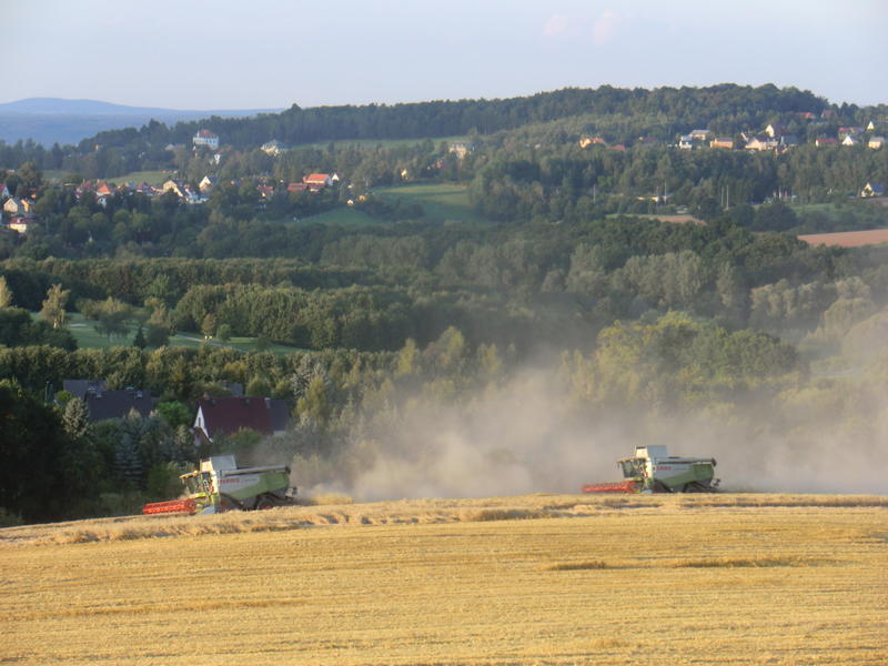 bilder/2024_07_30_2/DSC08774.jpg
