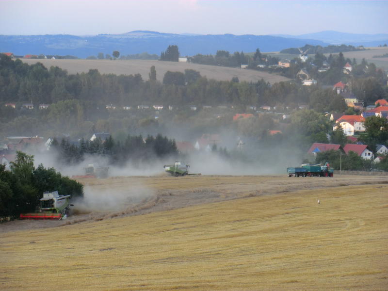 bilder/12_8_2014/CIMG7631.jpg