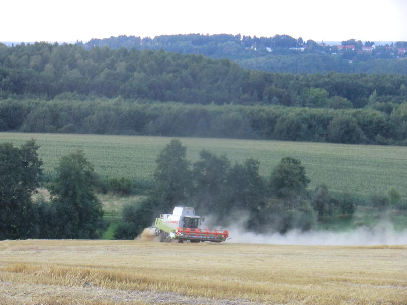 bilder/15_10_2011/CIMG5400.jpg