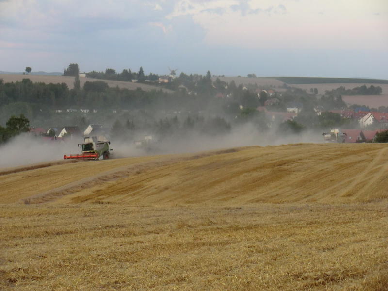 bilder/12_8_2014/CIMG7636.jpg