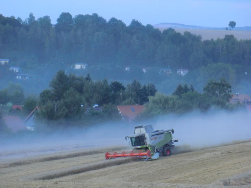 bilder/12_8_2014/CIMG7637.jpg