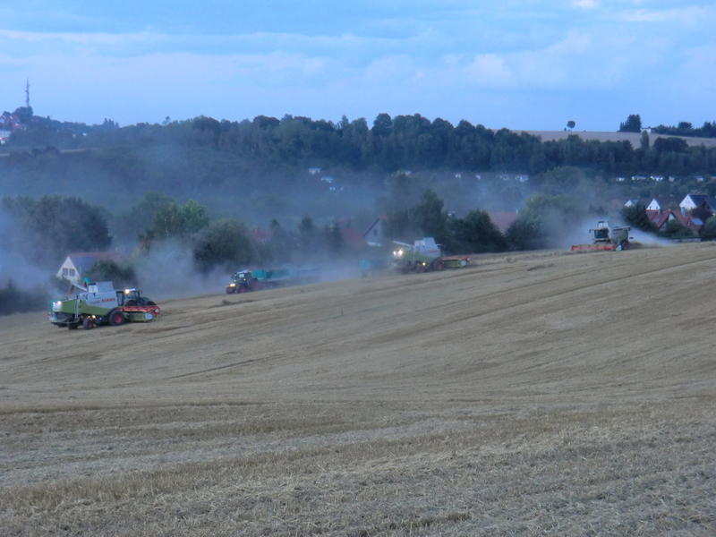 bilder/12_8_2014/CIMG7653.jpg