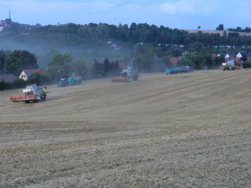 bilder/12_8_2014/CIMG7655.jpg