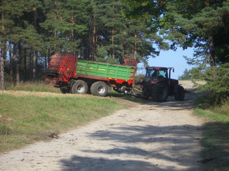 IMGP5950.jpg
