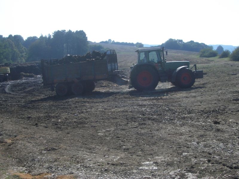 IMGP5954.jpg