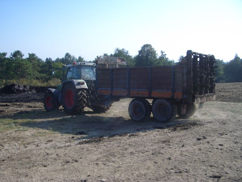 IMGP5975.jpg