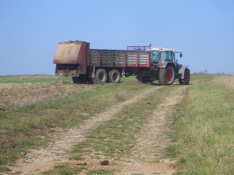 IMGP5987.jpg