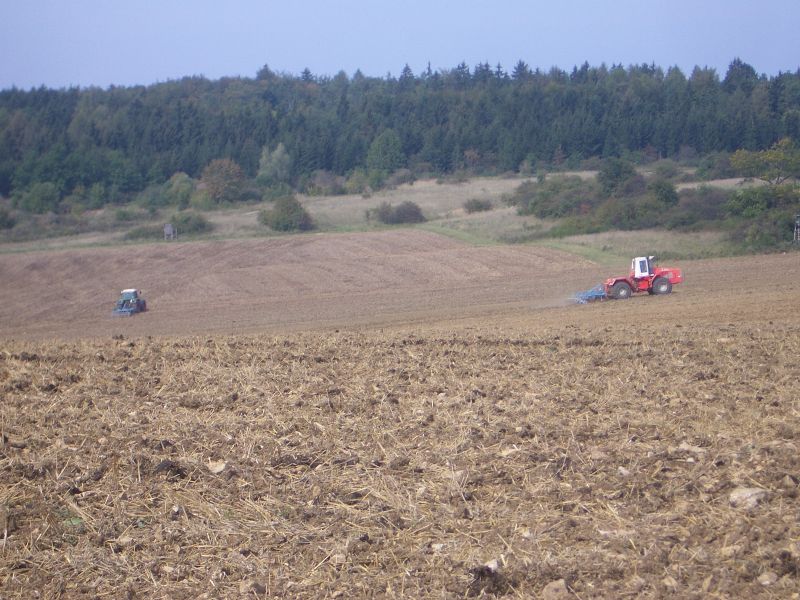 IMGP6035.jpg