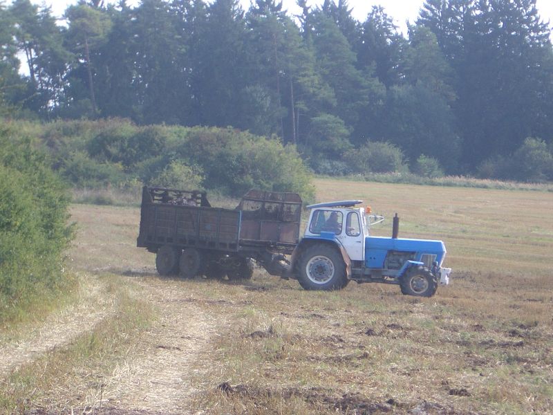 IMGP6086.jpg