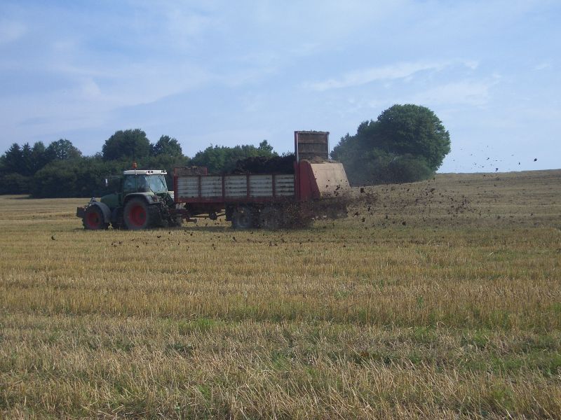 IMGP6094.jpg