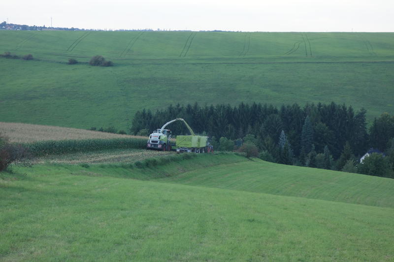 bilder/12_9_2017/DSC00263.jpg