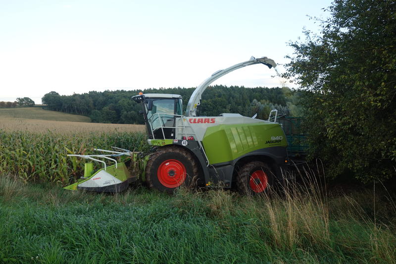 bilder/31_7_2003_3/lexion.jpg
