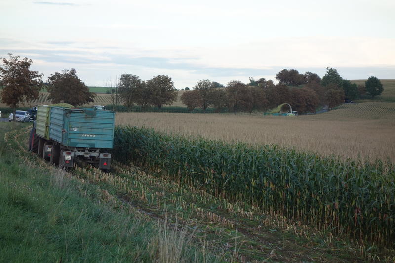 DSC00285.jpg