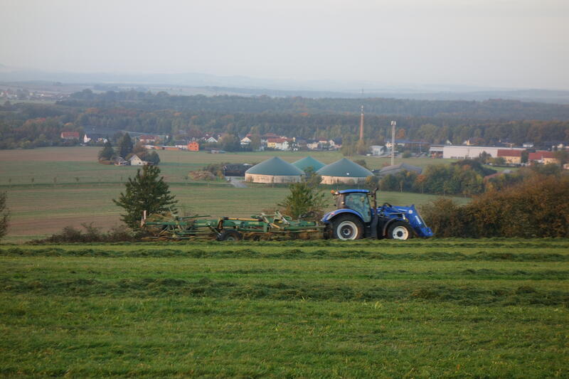 DSC04254.jpg